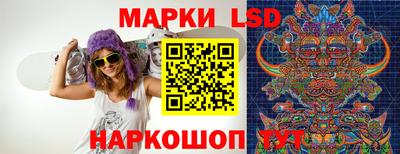 гидра Заводоуковск