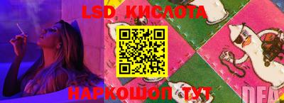 гидра Заводоуковск