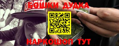 гидра Заводоуковск