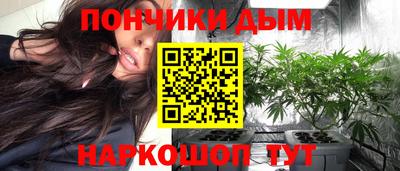 гидра Заводоуковск