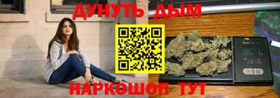 гидра Заводоуковск