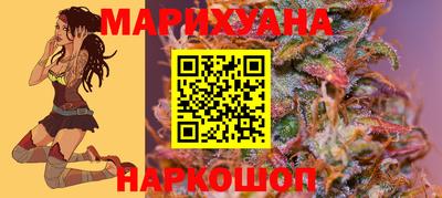 гидра Заводоуковск