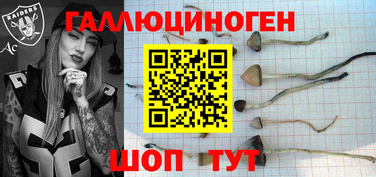 Лениногорск  сколько стоит  Вход с VPN  Галлюциногенные грибы прущие грибы 